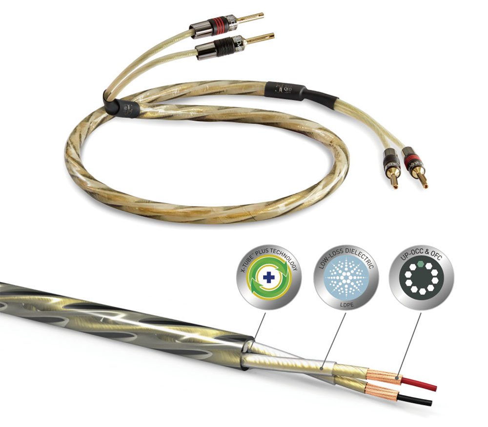 QED Celebrates Golden Anniversary XT | The Ear